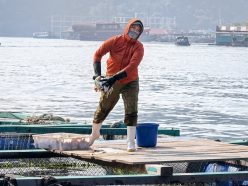 水光針的魅力與效果：深入了解水光針的因果關係