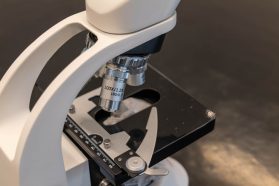 試管嬰兒香港：現代生育技術的權威導覽