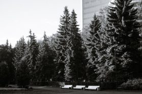 浪琴園的發展與現況報導